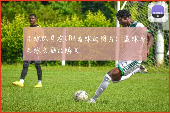足球队员在CBA看球的图片：篮球与足球交融的瞬间