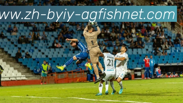 AG捕鱼王官网平台生态图