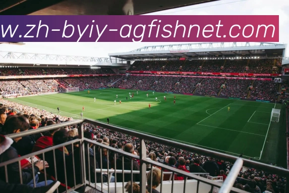 AG捕鱼王官网全站App